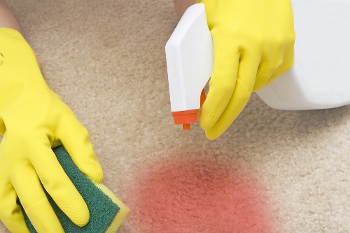 Domestic cleaning services in Colliers Wood