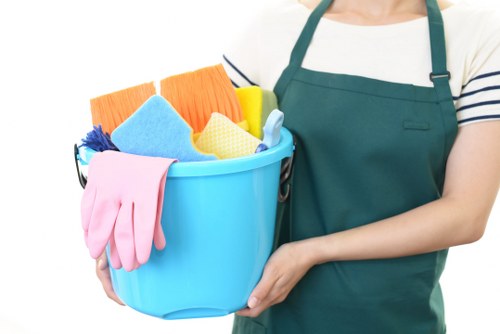 Professional carpet cleaner in Collierswood restoring a living room carpet
