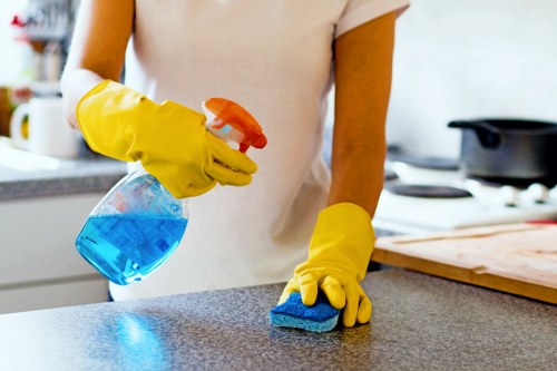 Professional carpet cleaning in a Collierswood home