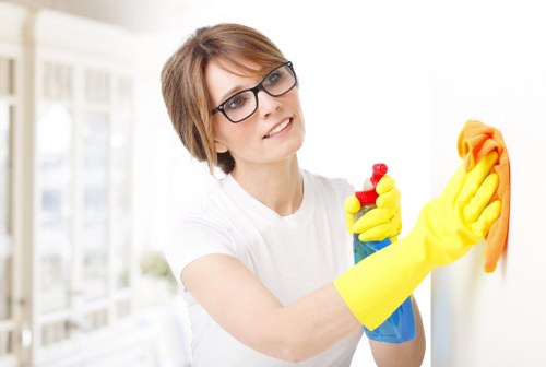 Professional oven cleaning in Collierswood with a spotless kitchen appliance