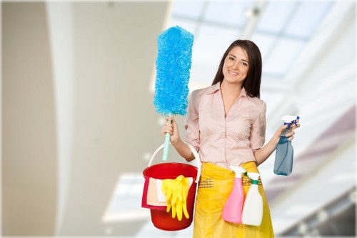 Professional cleaning company in Collierswood for homes and businesses