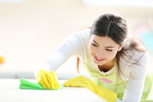 Professional cleaner in Collierswood servicing a tidy living room