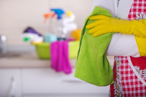 Professional home cleaners in Collierswood cleaning a bright living room