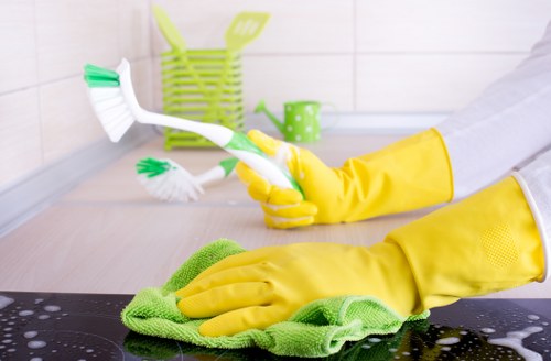 Kitchen and bathroom deep cleaning in Collierswood