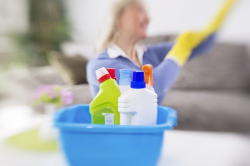 High-level window cleaning in Collierswood with safe equipment