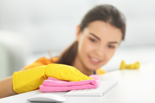 Detailed oven cleaning service in Collierswood removing grease and residue