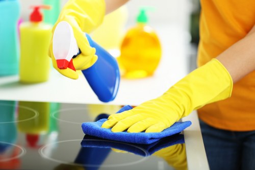 Cleaner reviewing booking details and access requirements