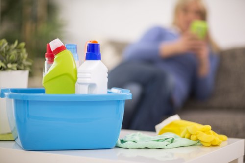 Eco-friendly home cleaning for a modern Collierswood property
