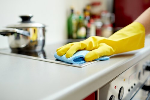 Residential cleaning visit in Collierswood home interior