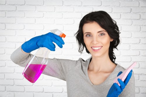 Deep cleaning checklist for a Collierswood home