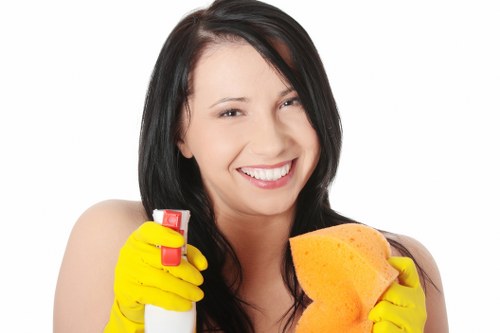 Collierswood cleaners completing a thorough and polished cleaning result