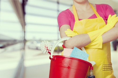 Professional deep cleaning for Collierswood properties