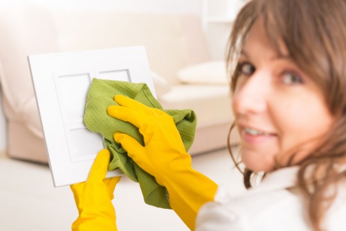 Professional cleaning team in Collierswood handling a property with attention